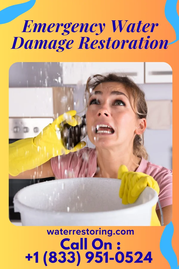 Emergency Water Damage Restoration in Grand Beach, MI