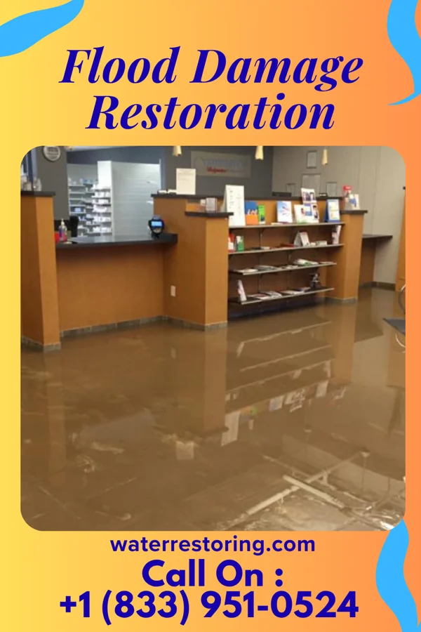 Flood Damage Restoration in Grand Beach, MI
