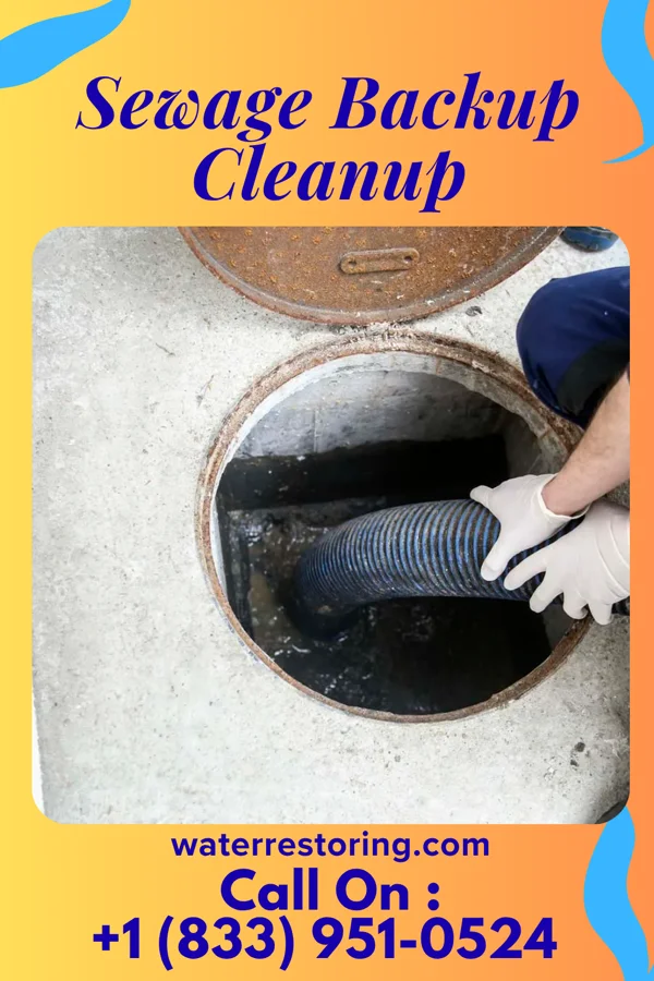 Sewage Backup Cleanup in Grand Beach, MI
