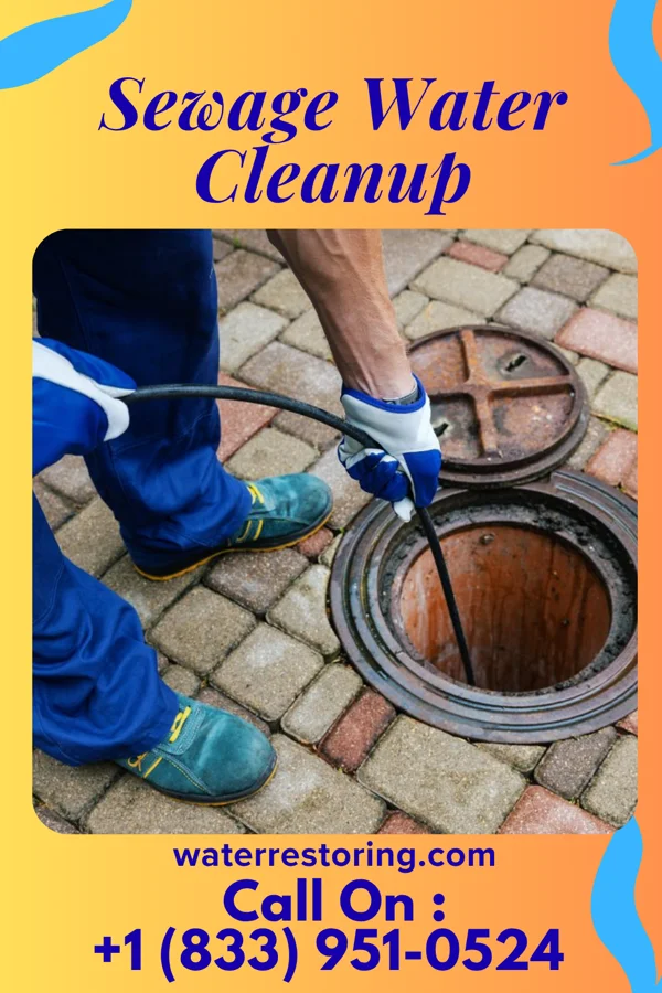 Sewage Water Cleanup in Grand Beach, MI